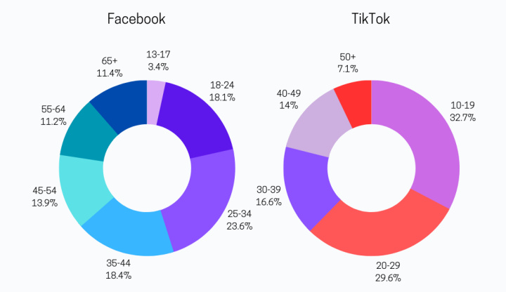 Facebook and TikTok statistics