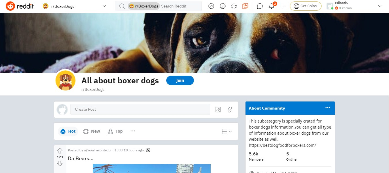 Обзор Reddit | Пример страницы сообщества Обзор Reddit | Пример страницы сообщества