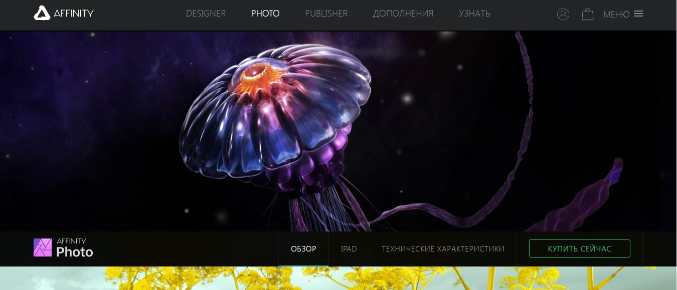 Аналоги Photoshop | Платный редактор Affinity Photo Аналоги Photoshop | Платный редактор Affinity Photo