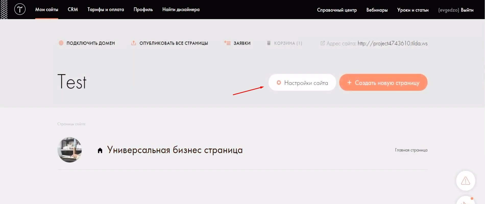 Интеграция Tilda и Bizon365 | Заходим в настройки сайта Интеграция Tilda и Bizon365 | Заходим в настройки сайта