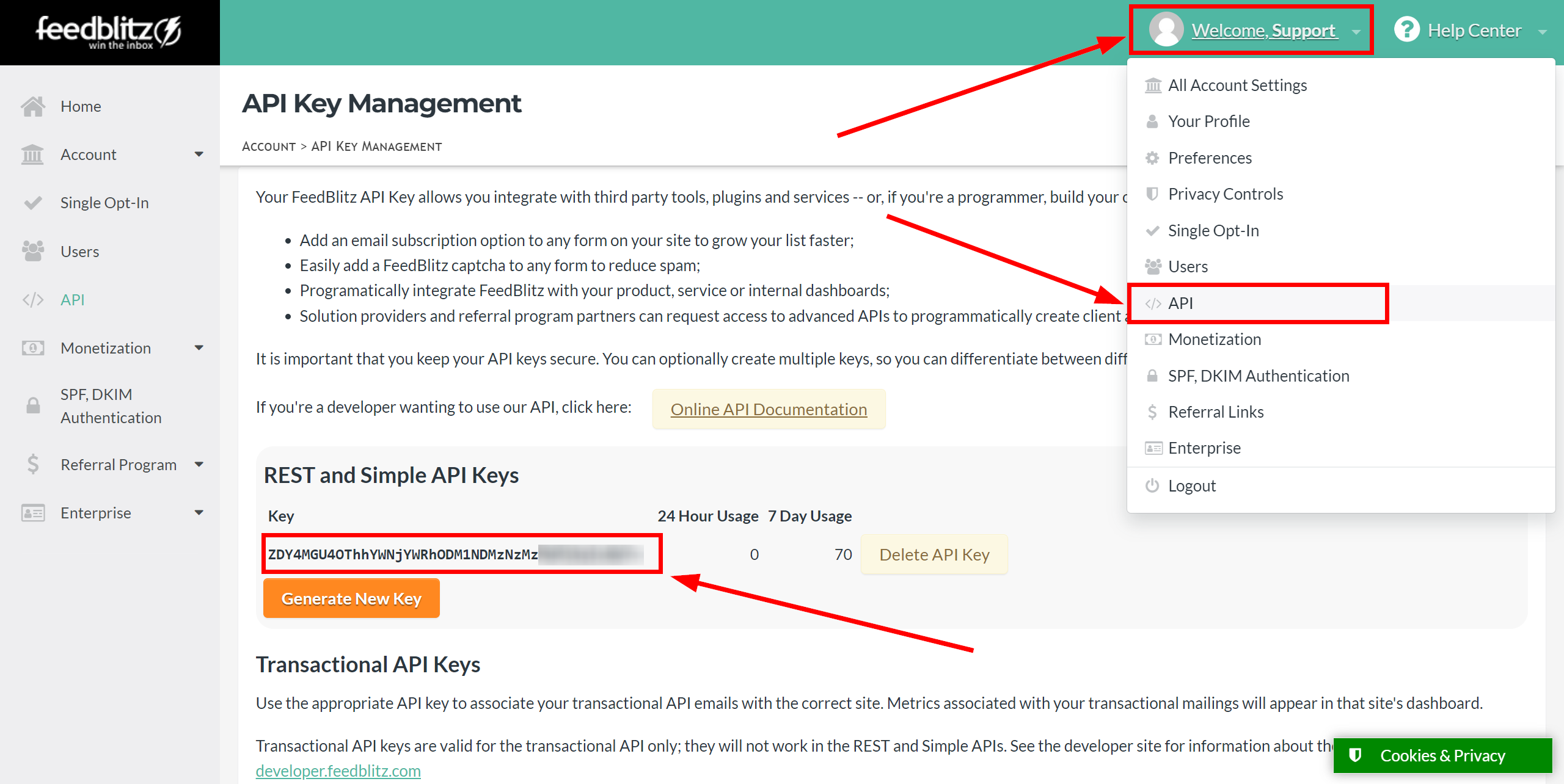 Setting Search to Verification E-MAIL FeedBlitz in Google Sheets | API key in your FeedBlitz account