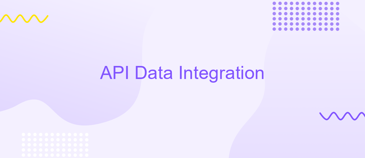 API Data Integration