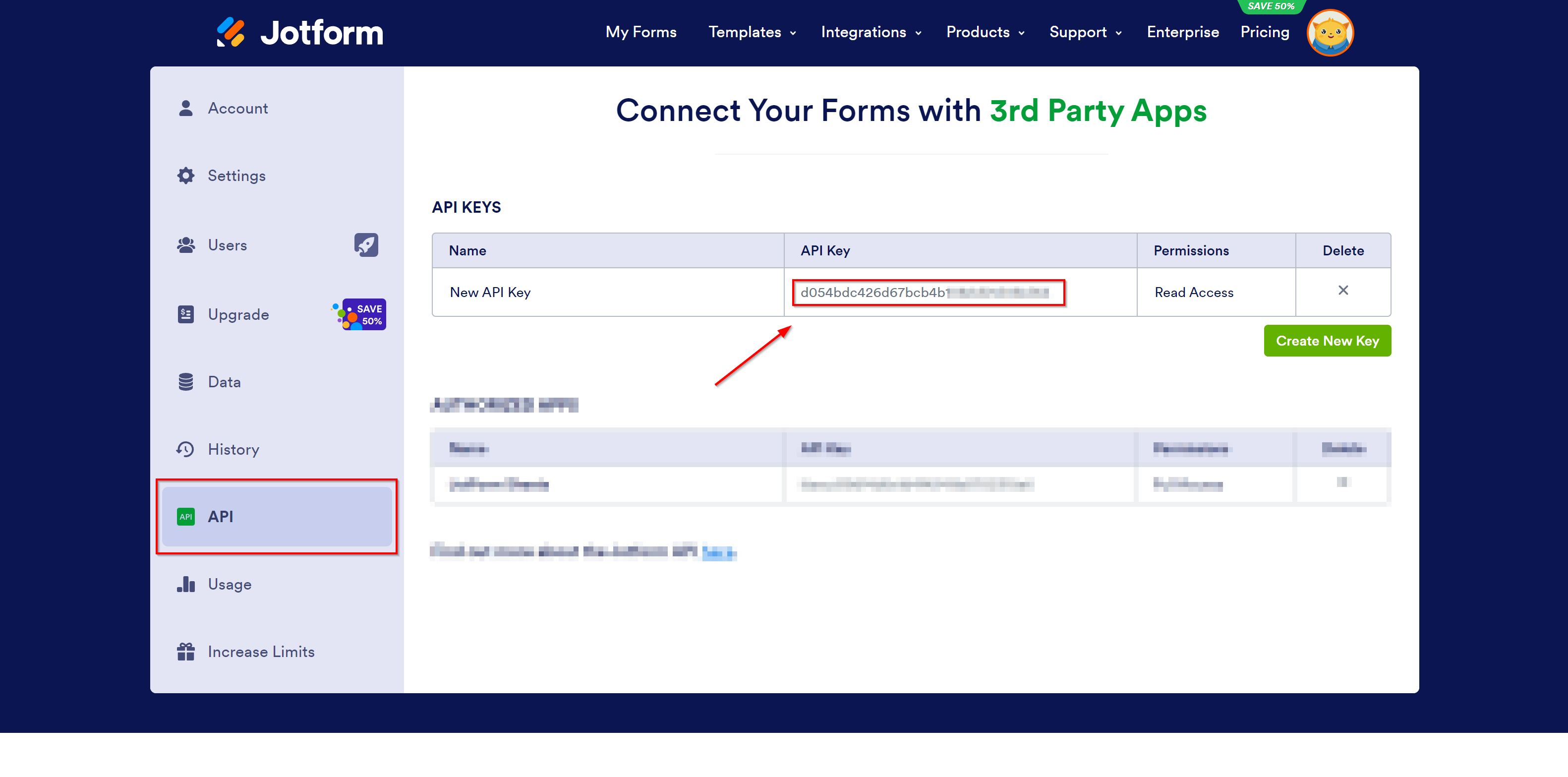 How to Connect Jotform as Data Source | Access to the API key