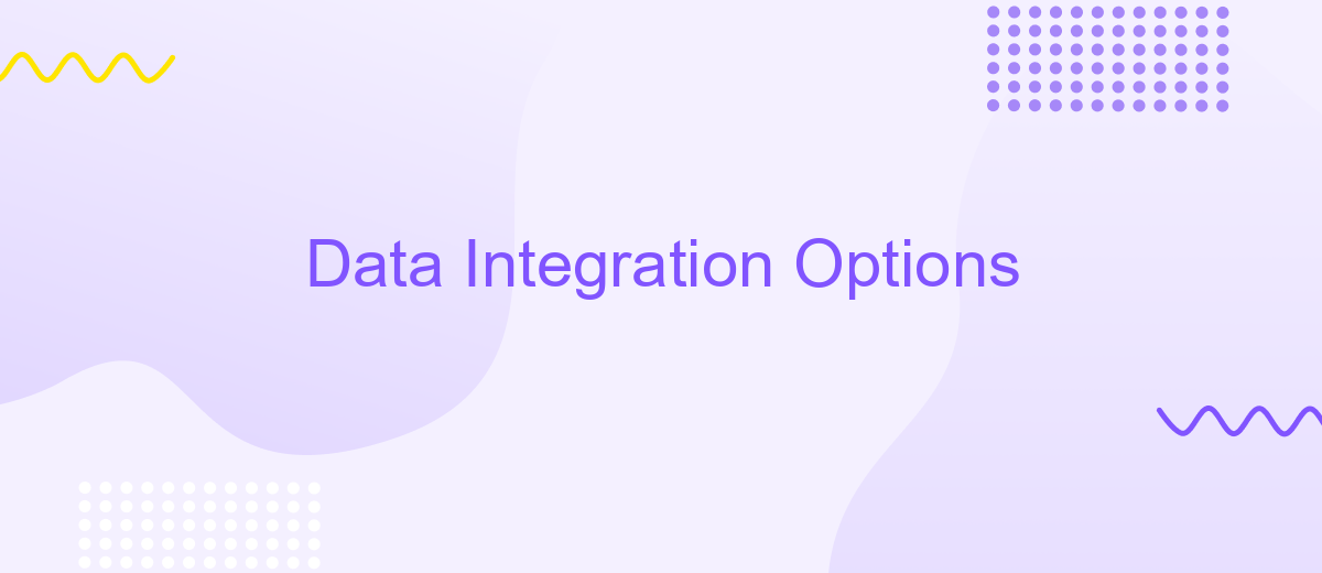 Data Integration Options