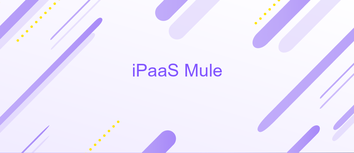 iPaaS Mule