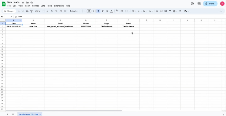 TikTok and Google Sheets integration | Check the result