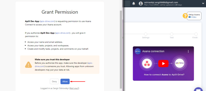 Asana Customization | Grant necessary access