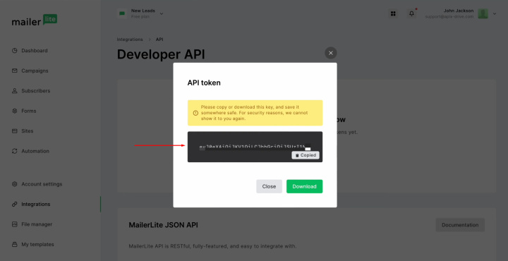 Tally and MailerLite integration | Copy the token