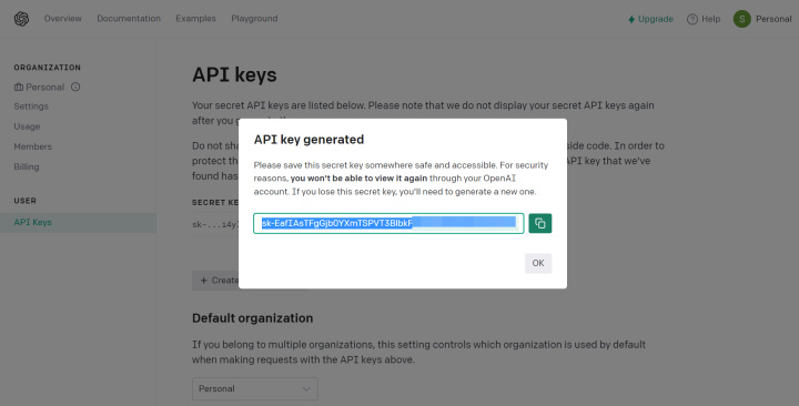 Setting up the AI TOOLS (ChatGPT) module | Copy the API key