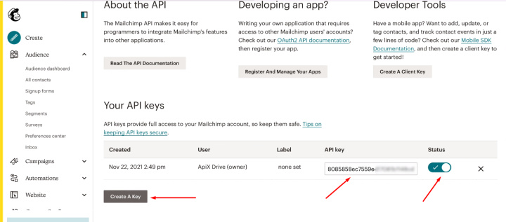 Facebook and Mailchimp integration | Get API key