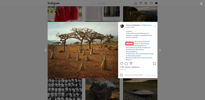 Хэштеги в Instagram, Facebook и других соцсетях | Пользователь Instagram simonnorfolkstudio публикует UGC-метку National Geographic, чтобы его фото разместили в аккаунте журнала
