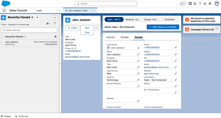 Контактные данные лида в Salesforce CRM