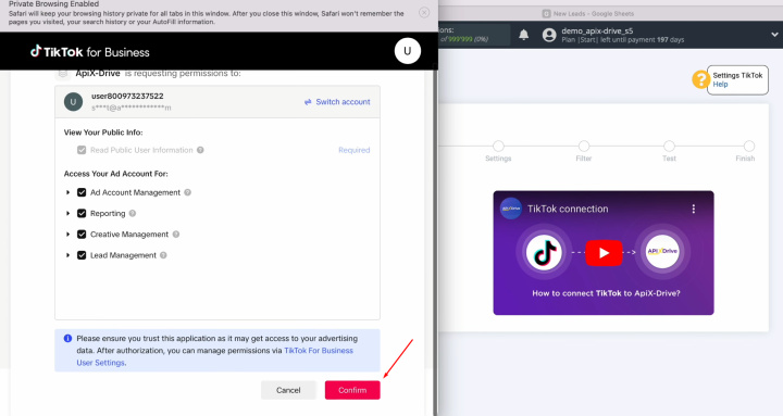 Інтеграція TikTok та Google Sheets | Надайте ApiX-Drive доступ для роботи з обліковим записом