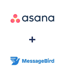 Einbindung von Asana und MessageBird