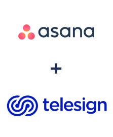 Einbindung von Asana und Telesign