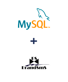 Einbindung von MySQL und BrandSMS 