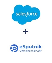 Einbindung von Salesforce CRM und eSputnik