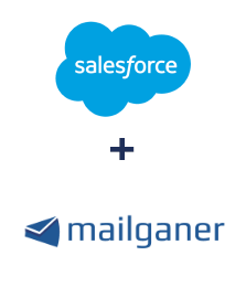 Einbindung von Salesforce CRM und Mailganer