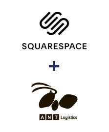 Einbindung von Squarespace und ANT-Logistics
