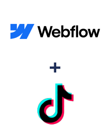 Einbindung von Webflow und TikTok (private accounts)
