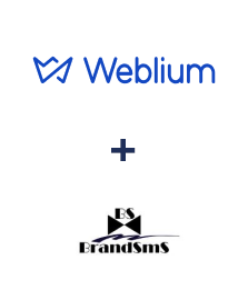 Einbindung von Weblium und BrandSMS 
