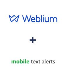 Einbindung von Weblium und Mobile Text Alerts