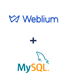 Einbindung von Weblium und MySQL