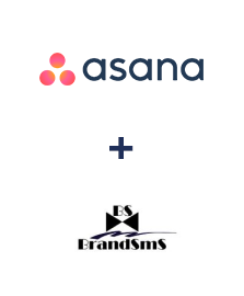 Integration of Asana and BrandSMS 