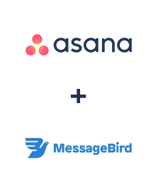 Integration of Asana and MessageBird