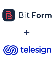 Integration of Bit Form and Telesign