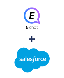 Integration of E-chat and Salesforce CRM