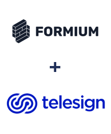 Integration of Formium and Telesign
