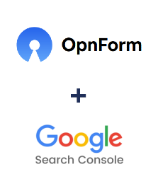 Integration of OpnForm and Google Search Console