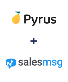 Integration of Pyrus and Salesmsg Integration of Pyrus and Salesmsg