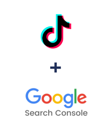Integration of TikTok and Google Search Console