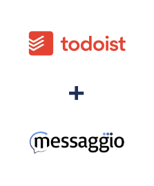 Integration of Todoist and Messaggio