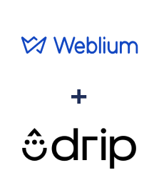 Integration of Weblium and Drip
