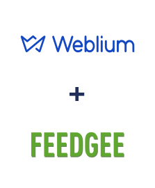 Integration of Weblium and Feedgee