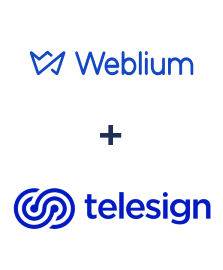 Integration of Weblium and Telesign