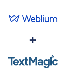Integration of Weblium and TextMagic