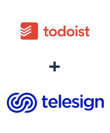 Integracja Todoist i Telesign