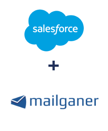 Integração de Salesforce CRM e Mailganer