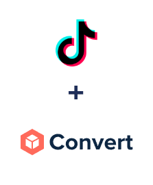 Integração de TikTok e ConvesioConvert