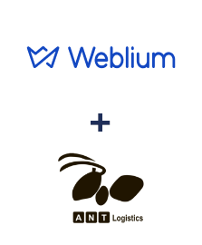 Integração de Weblium e ANT-Logistics