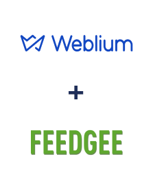 Integração de Weblium e Feedgee