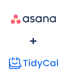Интеграция Asana и TidyCal