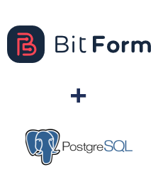 Интеграция Bit Form и PostgreSQL