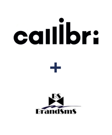 Интеграция Callibri и BrandSMS 