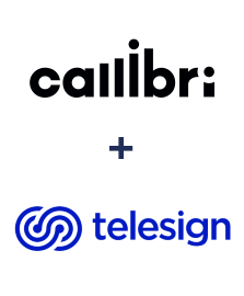 Интеграция Callibri и Telesign Интеграция Callibri и Telesign