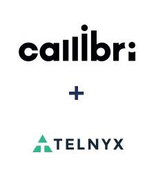 Интеграция Callibri и Telnyx Интеграция Callibri и Telnyx